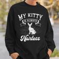 Sphynx Cat Kitty Always Hairless Animal Breeder Pet Lover Sweatshirt Gifts for Him