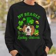 St Patricks Day My Beagle Is My Lucky Charm Shamrock Irish Sweatshirt Gifts for Him