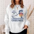 Its Better In Cozumel Mexico Vintage Beach Retro 80S 70S Men Women Sweatshirt Graphic Print Unisex Gifts for Her