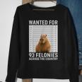 Funny Capybara Hot For 93 Felonies Hilarious Capybara Sweatshirt Gifts for Old Women