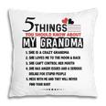 5 Things You Should Know About My Grandma Funny Women Gifts Pillow