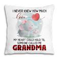 Someone Called Me Grandma Elephant Family Pillow
