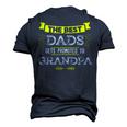 The Best Dads Get Promoted To Grandpa Grandfather Men's 3D T-Shirt Back Print Navy Blue